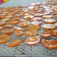 میوه خشک کن مشاغل خانگی