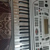 ارگ|پیانو، کیبورد، آکاردئون|مرند, |دیوار