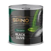 زیتون سیاه و زیتون پرورده و زیتون شور