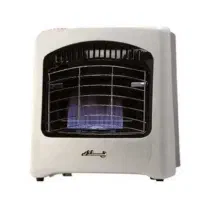 بخاری در حد