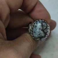 عقیق شجردار(شجر زمستانه)