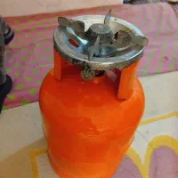 پیک نیک بزرگ