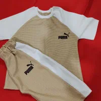 انواع تیشرت و شلوارک از تولید به مصرف