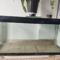 فروش آکواریوم کارکرده نیاز به تعمیر