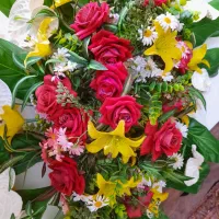 گل روکابینتی بسیار زیبا