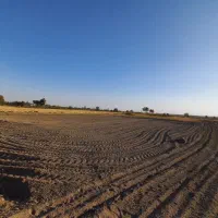 زمین دیمی ۲ تیکه