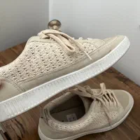 کفش خارجی|کیف، کفش، کمربند|مشهد, دانشجو|دیوار