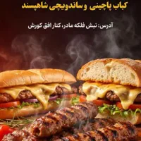 پاچین،کوبیده،ساندویچ،مرغ کنتاکی