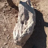 راهنمای سنگ|فعالیت داوطلبانه|کرمان, |دیوار