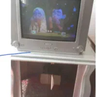 تلویزیون ۲۱