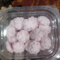 قند و نبات فانتزی و گیاهی|خوردنی و آشامیدنی|شیراز, پودنک|دیوار