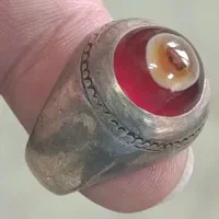 باباقوری سرخ تک چشم|جواهرات|بندر ماهشهر, |دیوار