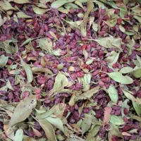 فروش دو تا سه تن زرشک