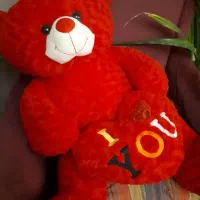 خرس ولن تاین