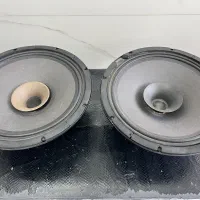 یک جفت میدرنج 12