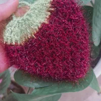 اسکاج توت فرنگی|لوازم نظافت|یزد, |دیوار