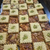 فروش حلوا خانگی بیوتیکی و بیسکویت برای مراسم|خوردنی و آشامیدنی|رشت, گلسار|دیوار