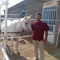 بنا سیمان سیاه و سفید کار هستم
