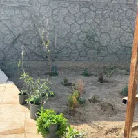 کوتاه-مدت-روزانه-و-نیم-روز