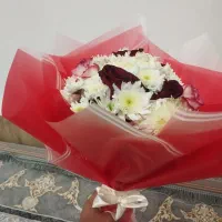 گل .|گل و گیاه طبیعی|زابل, |دیوار