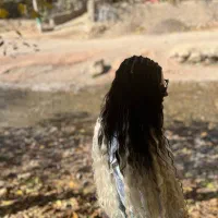 تخفیف روی آموزش بافت مو