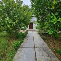 باغویلا-شهرکی1063مباسندتکبرگ-پروانه-خطدریاسرخرود