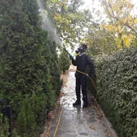 محلول پاشی، روغن پاشی و سم ریزی بومهن رودهن پردیس|خدمات باغبانی و درختکاری|رودهن, |دیوار