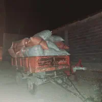 فروش کاه دست بر شلیف شده