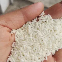خدمات سوغات سرای گیلان