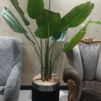 گل دکوری و کاملا نو