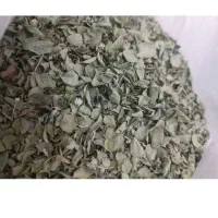 فروش اویشن کوهی درجه یک وتمیز