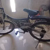 دو عدد دوچرخه