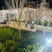 اجاره روزانه ویلا استخردار آب گرم زردنجان|اجارهٔ کوتاهمدت ویلا و باغ|مبارکه, |دیوار