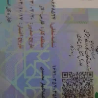 مدارک شناسایی اتباع خارجی|اشیا|سیاخ دارنگون, |دیوار