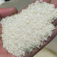 فروش برنج درجه یک