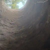 چاه کن اوستا اصغر|خدمات پیشه و مهارت|آمل, |دیوار