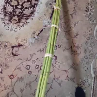 نیانبان|سازهای بادی|پاکدشت, پاکدشت (مامازند)|دیوار