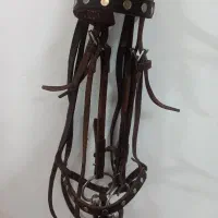 زین و دهنه چرم اصل درحد نو|اسب و تجهیزات اسبسواری|قم, دروازه ری|دیوار