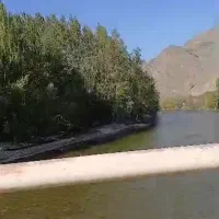 زمین کشاورزی