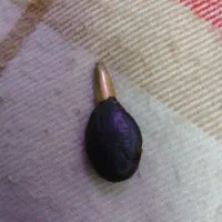 مضراب تار دست ساز