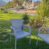 صندلی مطبی نو نو|دفتر کار|سنندج, |دیوار