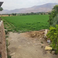 یونجه|لوازم جانبی حیوانات|بروجرد, |دیوار