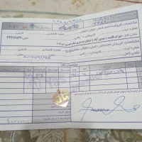 زنجیروپلاک