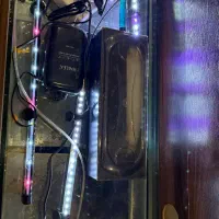 آکواریوم با تمامی تجهیزات فقط ۱۰ میلیون تومان|ماهی|تهران, سهروردی|دیوار