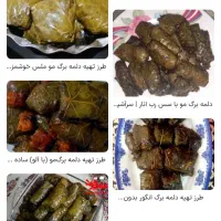 برگ هاز جهت تهیه دلمه