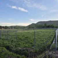 زمین کشاورزی وباغ با آب دائمی|اجارهٔ دفتر صنعتی، کشاورزی، تجاری|هشترود, |دیوار