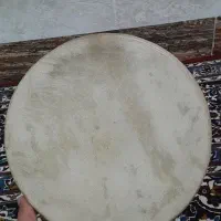 اسم محلی چوب وناوی