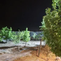 باغ1500متری-سندتکبرگ