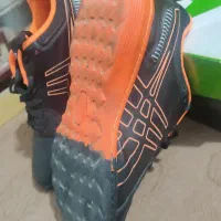 دو جفت کفش ، سالن ، چمن|کیف، کفش، کمربند|شیراز, کوشک میدان|دیوار