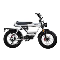 دوچرخه برقی وایو کاسویل